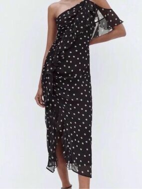 Zara Polka Dot dress